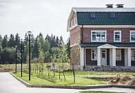 Посадки на территории квартала