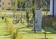 Посадки на 5 квартале